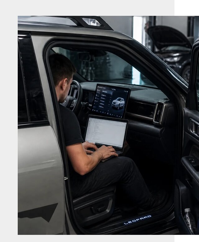 Русификация BYD Leopard 3 в Сафонове по цене от 20394 р. | ФастМобиль-Сфн